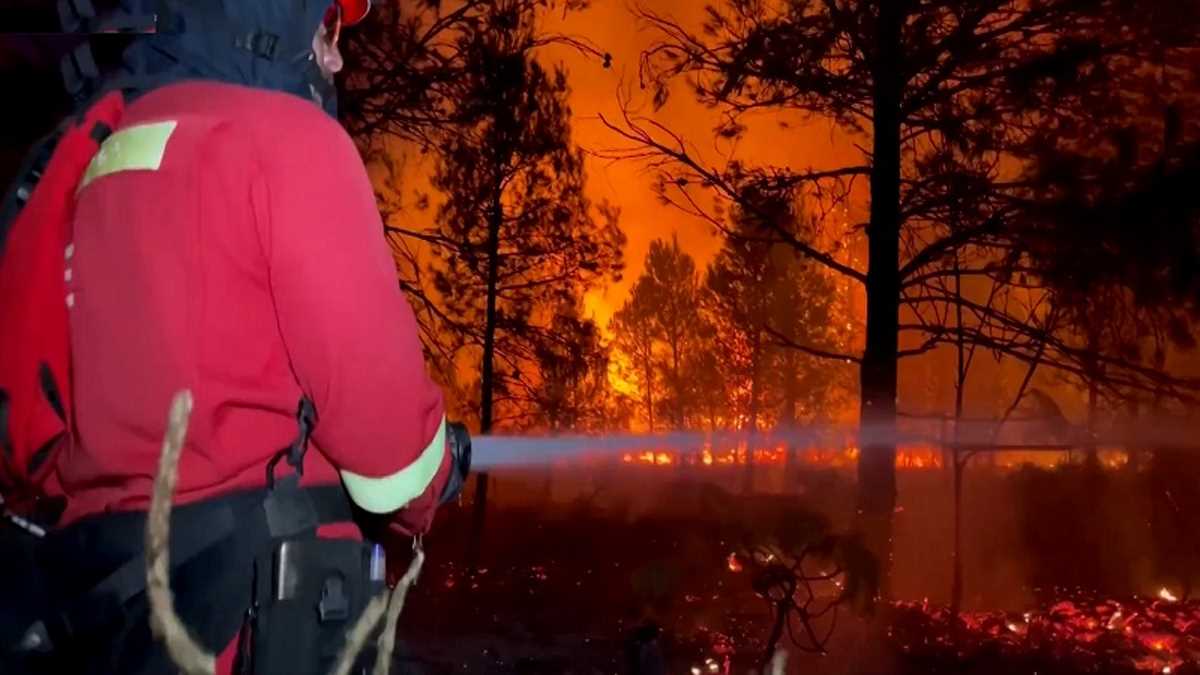 स्पेन के जंगलों में लगी भीषण आग, 1,600 लोगों को सुरक्षित स्थान पर पहुंचाया गया